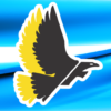 Falcon Security Technologies